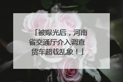 被曝光后，河南省交通厅介入调查货车超载乱象！