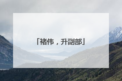 褚伟，升副部