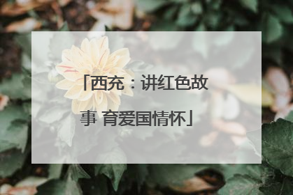 西充：讲红色故事 育爱国情怀