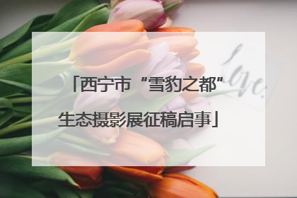 西宁市“雪豹之都”生态摄影展征稿启事