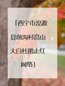 西宁市湟源县前沟村高山大白杜鹃走红网络