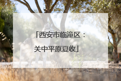 西安市临潼区：关中平原夏收