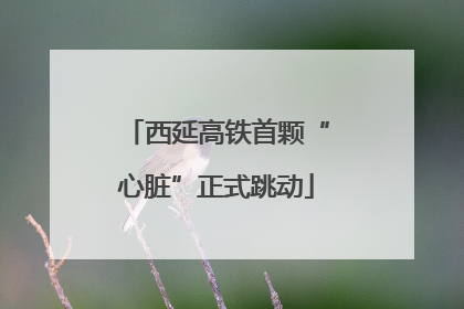 西延高铁首颗“心脏”正式跳动