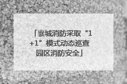 襄城消防采取“1+1”模式动态巡查园区消防安全