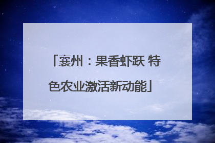 襄州：果香虾跃 特色农业激活新动能