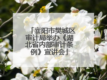 襄阳市樊城区审计局举办《湖北省内部审计条例》宣讲会