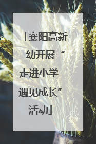 襄阳高新二幼开展“走进小学 遇见成长”活动