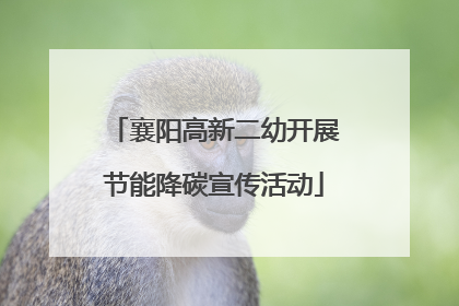 襄阳高新二幼开展节能降碳宣传活动