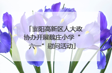 襄阳高新区人大政协办开展魏庄小学“六一”慰问活动