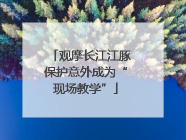 观摩长江江豚保护意外成为“现场教学”