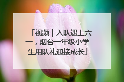 视频｜入队遇上六一，烟台一年级小学生用队礼迎接成长