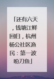 还有六天，钱塘江鲜回归，杭州杨公社区渔民：第一波盼刀鱼