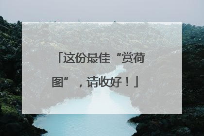 这份最佳“赏荷图”，请收好！