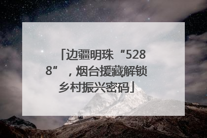边疆明珠“5288”，烟台援藏解锁乡村振兴密码