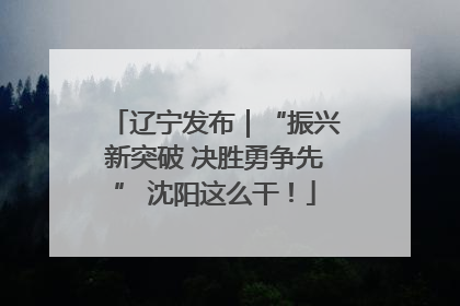 辽宁发布｜“振兴新突破 决胜勇争先” 沈阳这么干！