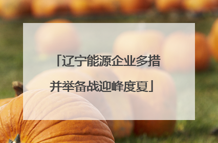 辽宁能源企业多措并举备战迎峰度夏