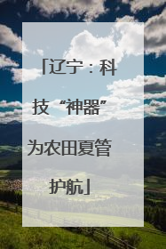 辽宁：科技“神器”为农田夏管护航