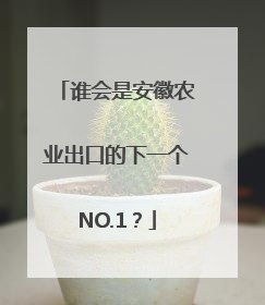 谁会是安徽农业出口的下一个NO.1？