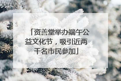 资善堂举办端午公益文化节，吸引近两千名市民参加