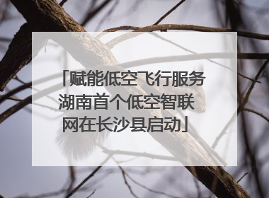 赋能低空飞行服务 湖南首个低空智联网在长沙县启动
