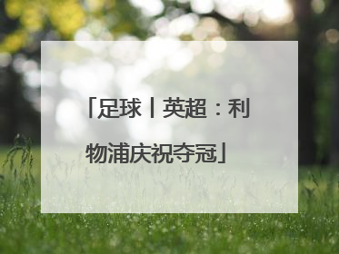 足球丨英超：利物浦庆祝夺冠