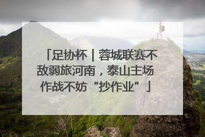 足协杯｜蓉城联赛不敌弱旅河南，泰山主场作战不妨“抄作业”