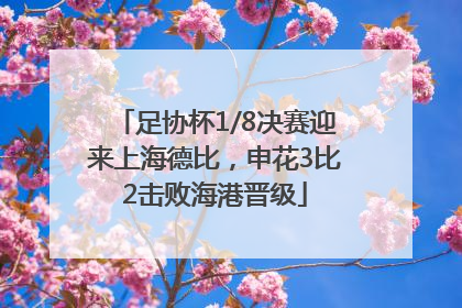 足协杯1/8决赛迎来上海德比，申花3比2击败海港晋级