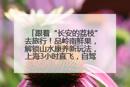 跟着“长安的荔枝”去旅行！品岭南鲜果，解锁山水康养新玩法，上海3小时直飞，自驾高速费优惠