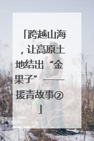 跨越山海，让高原土地结出“金果子”——援青故事②