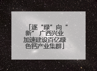 逐“绿”向“新” 广西兴业加速建设百亿绿色钙产业集群