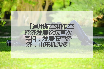 通用航空和低空经济发展论坛首次亮相，发展低空经济，山东机遇多