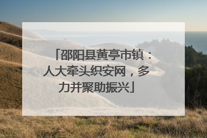 邵阳县黄亭市镇：人大牵头织安网，多力并聚助振兴