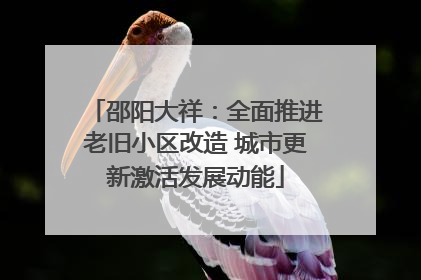 邵阳大祥：全面推进老旧小区改造 城市更新激活发展动能