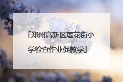 郑州高新区莲花街小学检查作业促教学