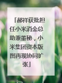 郝祥获批担任小米消金总助兼董秘，小米集团资本版图再现协同扩张