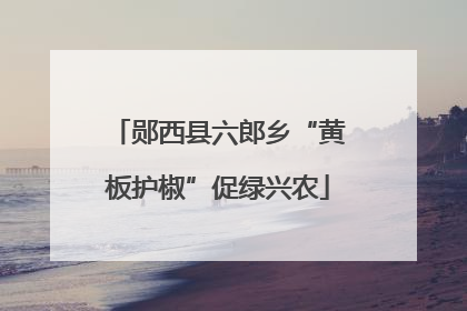 郧西县六郎乡“黄板护椒”促绿兴农
