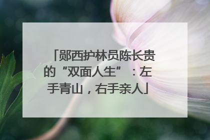 郧西护林员陈长贵的“双面人生”：左手青山，右手亲人