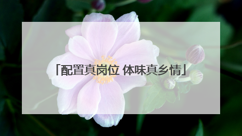 配置真岗位 体味真乡情