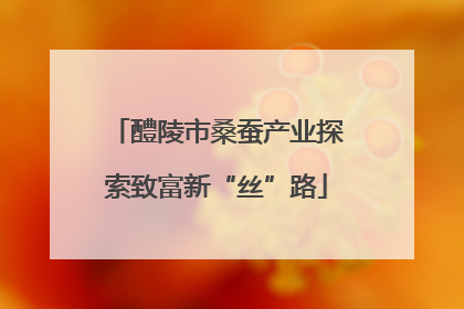 醴陵市桑蚕产业探索致富新“丝”路