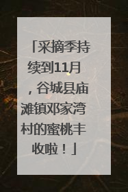 采摘季持续到11月，谷城县庙滩镇邓家湾村的蜜桃丰收啦！