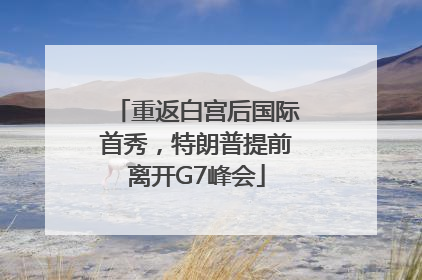 重返白宫后国际首秀，特朗普提前离开G7峰会