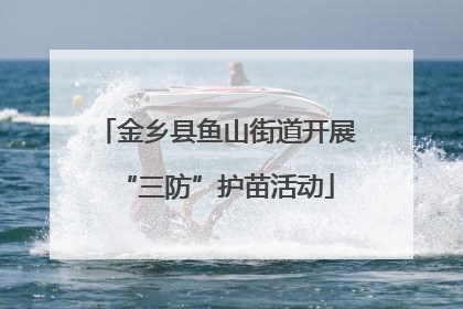 金乡县鱼山街道开展“三防”护苗活动
