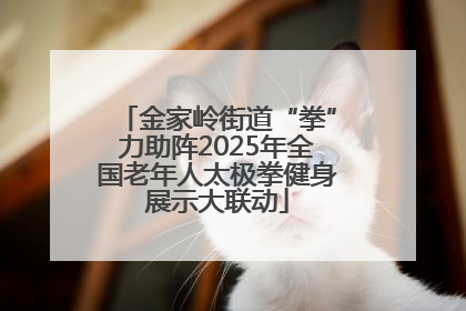 金家岭街道“拳”力助阵2025年全国老年人太极拳健身展示大联动