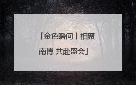 金色瞬间丨相聚南博 共赴盛会