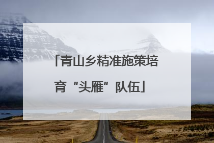 青山乡精准施策培育“头雁”队伍