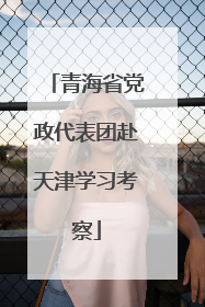 青海省党政代表团赴天津学习考察