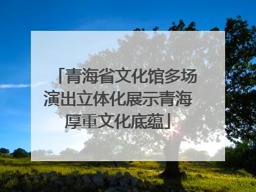 青海省文化馆多场演出立体化展示青海厚重文化底蕴