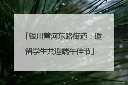 银川黄河东路街道：邀留学生共迎端午佳节
