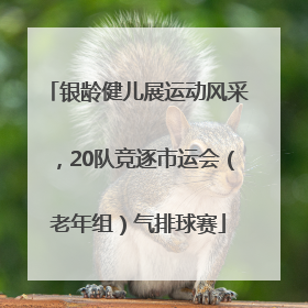 银龄健儿展运动风采，20队竞逐市运会（老年组）气排球赛