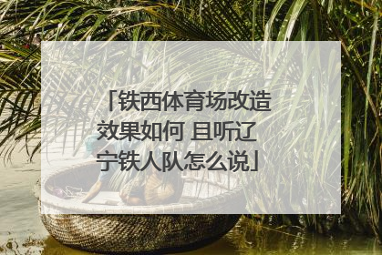 铁西体育场改造效果如何 且听辽宁铁人队怎么说